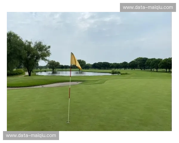 高尔夫排名:看见球场背后的力量与未来之星 高尔夫排名:看见球场背后的力量与未来之星